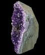 Amethyst Cut Base Cluster - Uruguay #83546-2